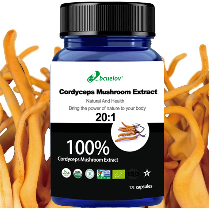 Herbal Wellness Water - Cordyceps Mushroom Extract Capsules, Herbal Supplement