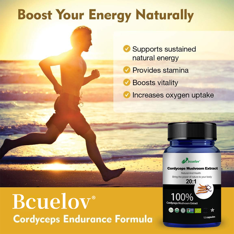 Cordyceps Mushroom Extract Cap - Herbal Wellness Water บทวิจารณ์และราคา